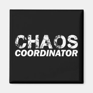 Chaos coordinator magnet