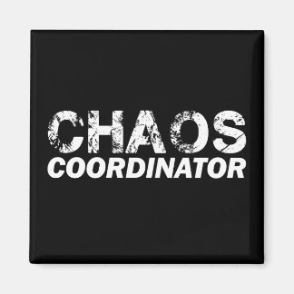Chaos coordinator magnet