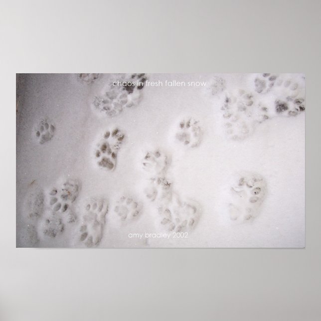 chaos in fresh fallen snow poster (Front)