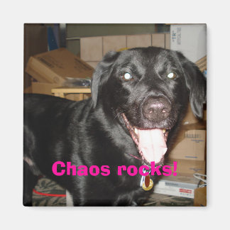 Chaos rocks! magnet