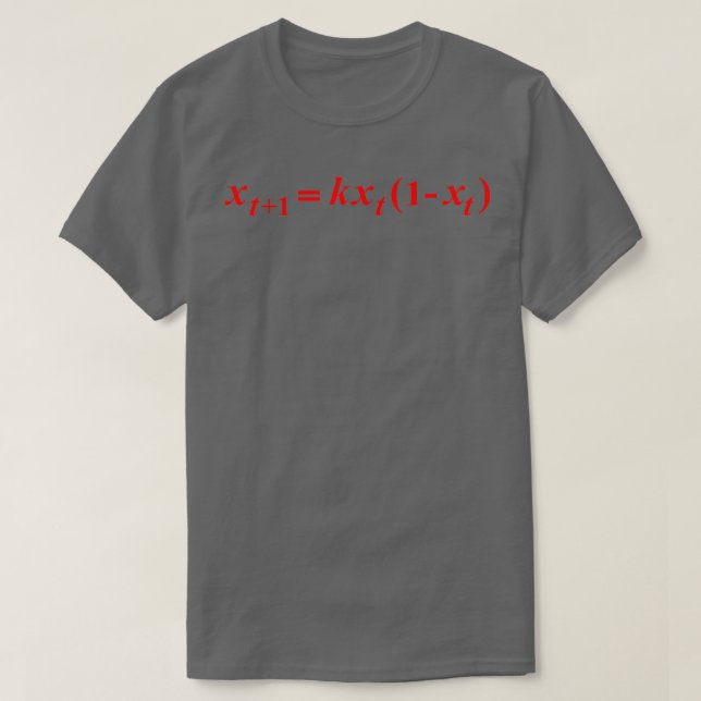 Chaos Theory Math Equation 4 T-Shirt (Design Front)
