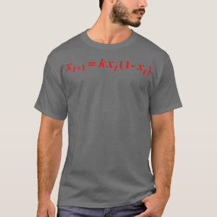 Chaos Theory Math Equation 4 T-Shirt