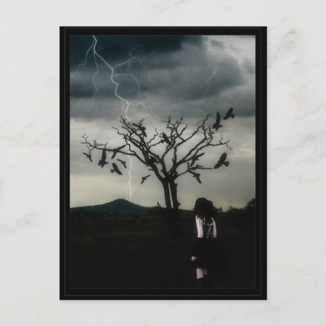 Chaos Theory Postcard (Front)