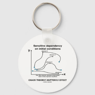 Chaos Theory's Butterfly Effect Key Ring