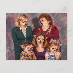 Chaotic Chihuahua Family Portrait, 1990s Style Postcard