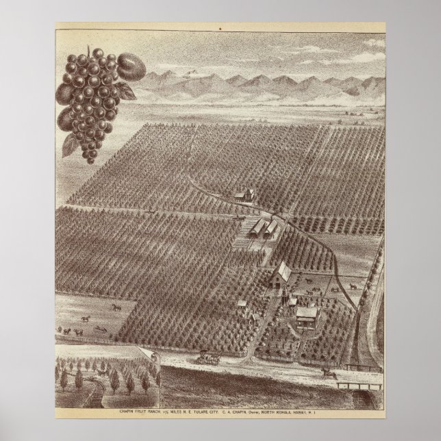 Chapin Fruit Ranch Poster (Front)