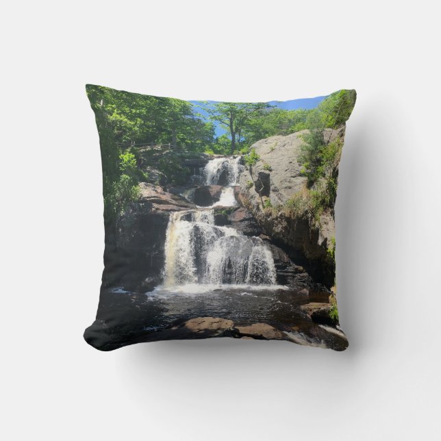 Chapman Falls Cushion (Front)