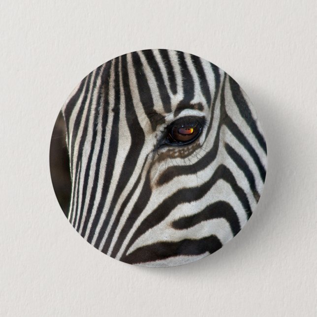 Chapman's Zebra 6 Cm Round Badge (Front)