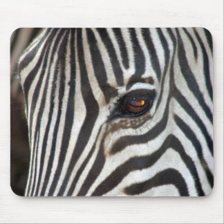 Chapman's Zebra Mouse Pad