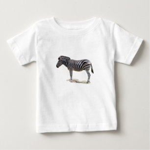 Chapman's Zebra Photo Baby T-Shirt