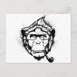 Characteristic Chimp Postcard