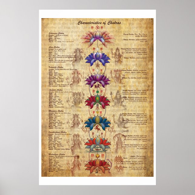 Characterstics of Chakras Yoga Art Print (Front)