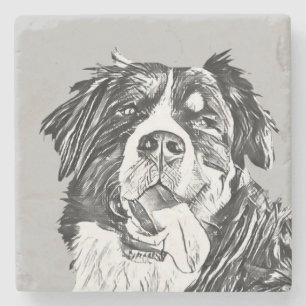 Charcoal Bernese Mountain Dog Stone Coaster