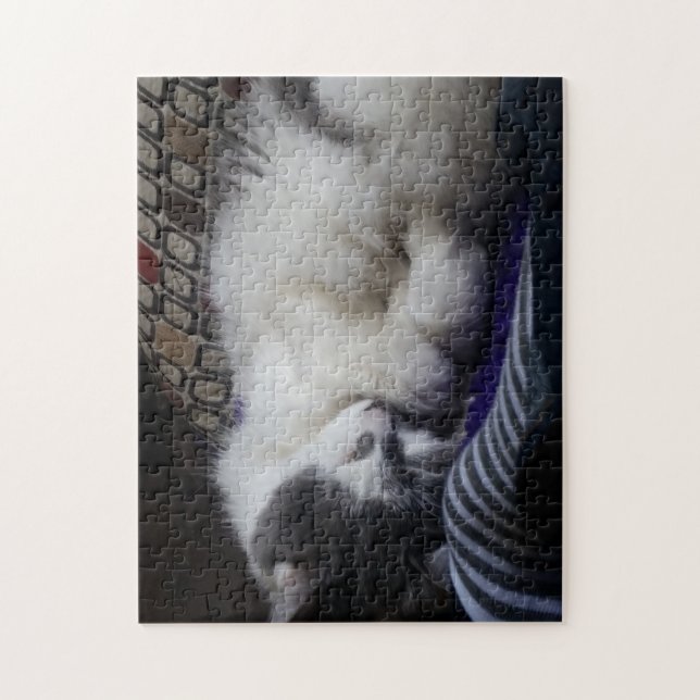 charcoal jigsaw puzzle (Vertical)