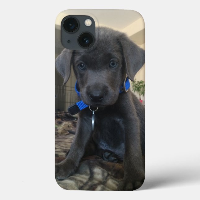 charcoal labrador case (Back)