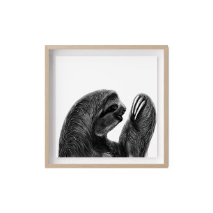 Charcoal Sketch Sloth Poster