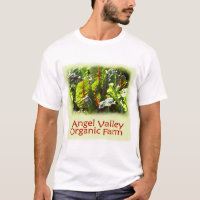Chard from Angel Valley Farm