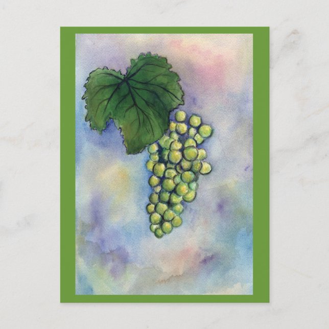 Chardonnay Wine Grapes Postcard (Front)