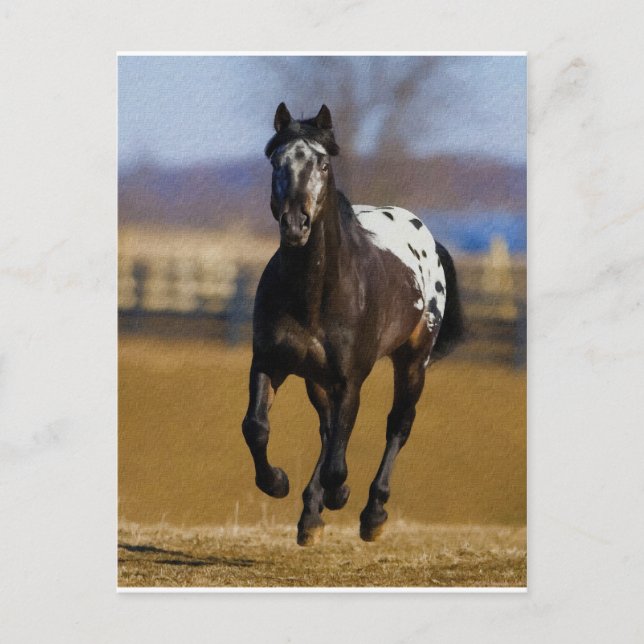 Charger Postcard (Front)