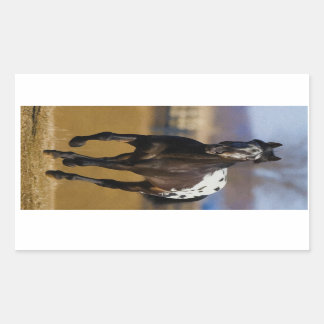 Charger Rectangular Sticker