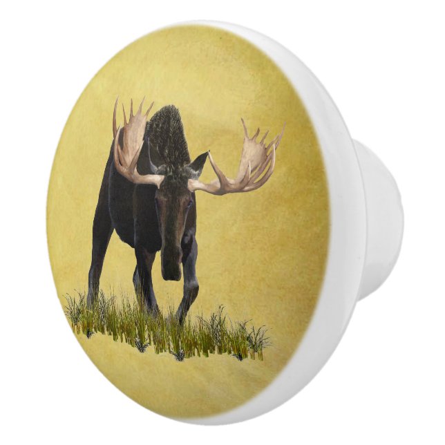 Charging Bull Moose Ceramic Knob (Right)