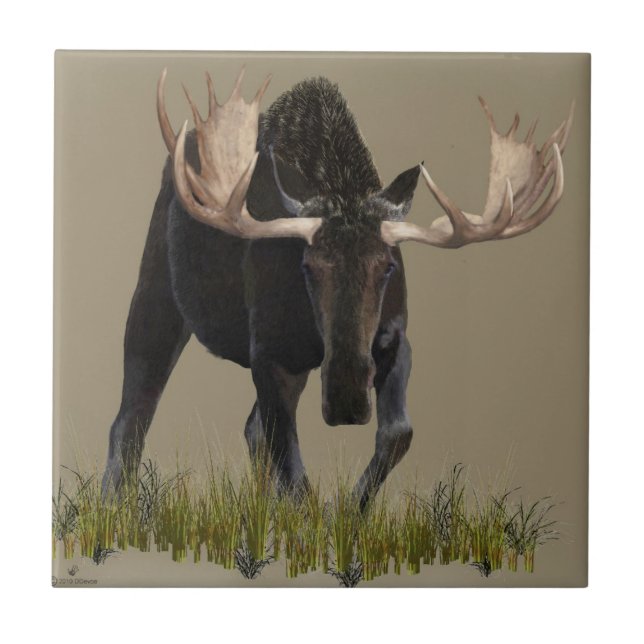 Charging Bull Moose Ceramic Tile (Front)
