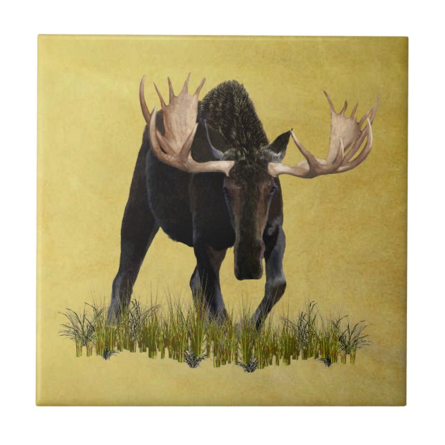 Charging Bull Moose Tile (Front)