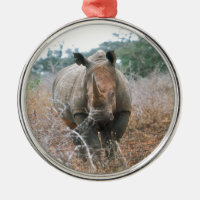Charging Rhino