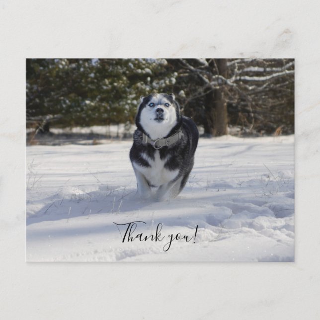 Charging Through Thank You Postcard (Front)