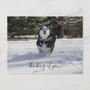 Charging Through Thinking Of You Postcard