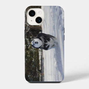 Charging Throught iPhone Case