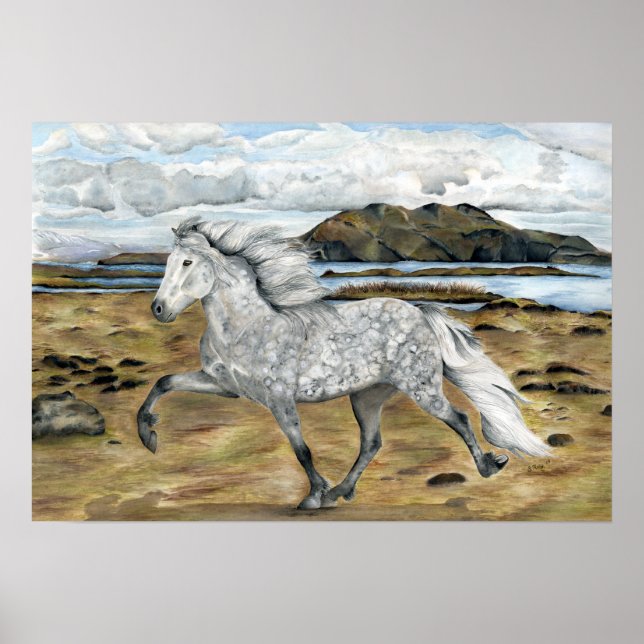 Charismatic ~ Poster (Front)