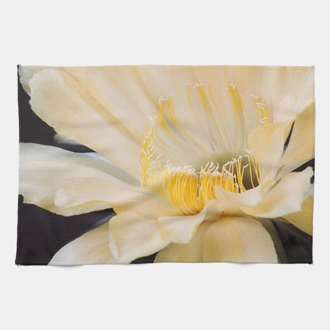 Charlemagne Echinopsis cactus bloom Tea Towel (Horizontal)