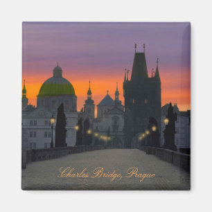 Charles Bridge Magnet