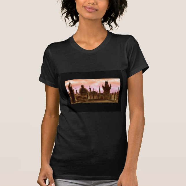 charles bridge prague T-Shirt (Front)