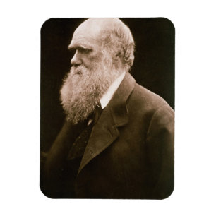 Charles Darwin (1809-82) (photo) Magnet