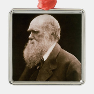 Charles Darwin (1809-82) (photo) Metal Tree Decoration
