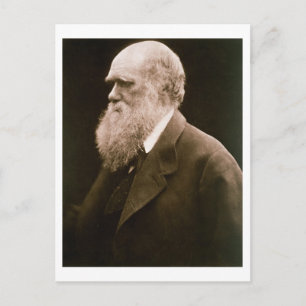 Charles Darwin (1809-82) (photo) Postcard