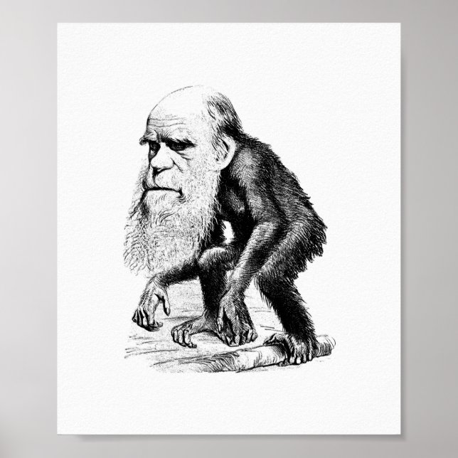 Charles Darwin As An Ape Poster (Front)