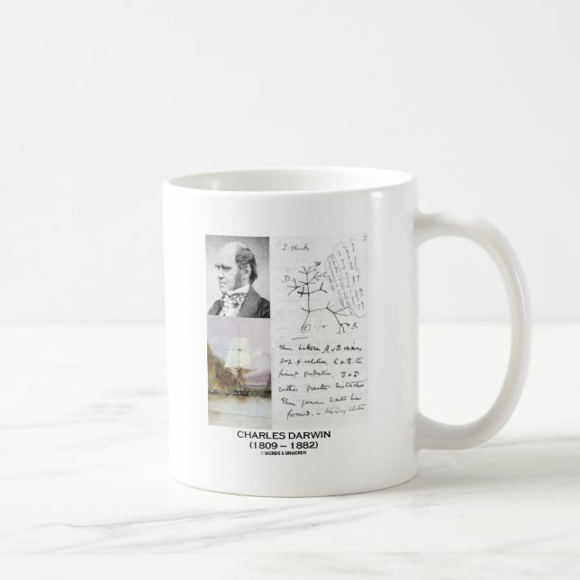Charles Darwin (Darwin HMS Beagle Phylogenetics) Coffee Mug (Right)