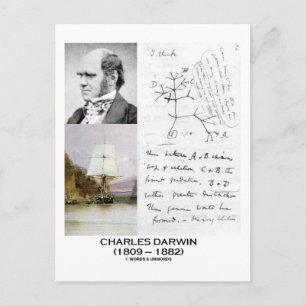 Charles Darwin (Darwin HMS Beagle Phylogenetics) Postcard