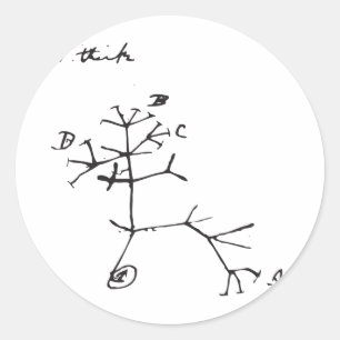 Charles Darwin - I Think (Black) Classic Round Sticker