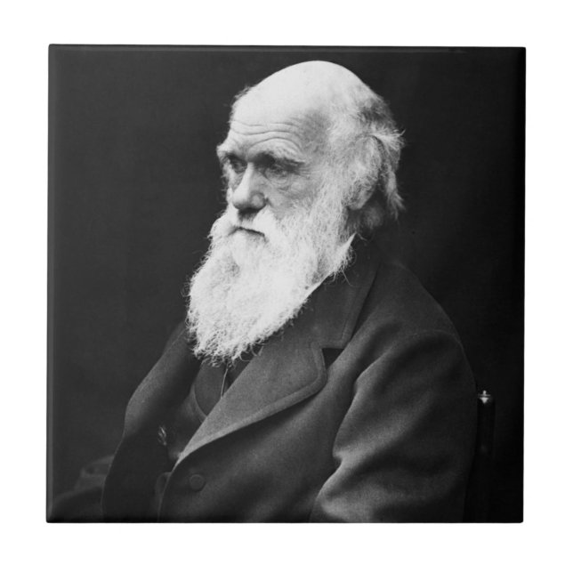 Charles Darwin Portrait Ceramic Tile (Front)