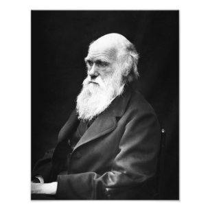 Charles Darwin Portrait Photo Print