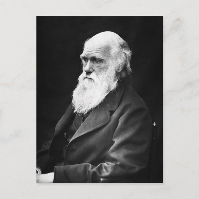Charles Darwin Portrait Postcard (Front)