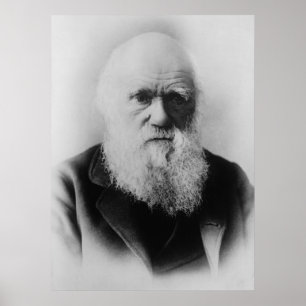 Charles Darwin Poster