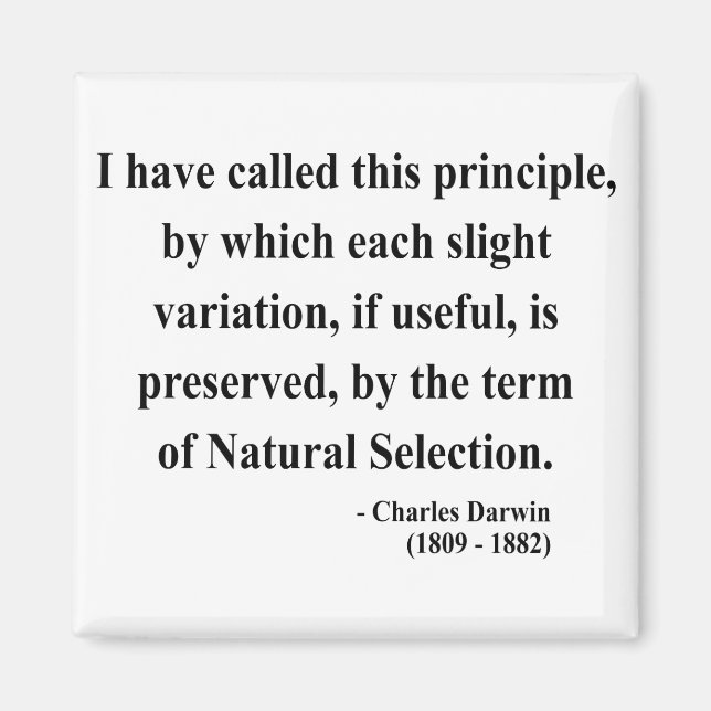 Charles Darwin Quote 6a Magnet (Front)