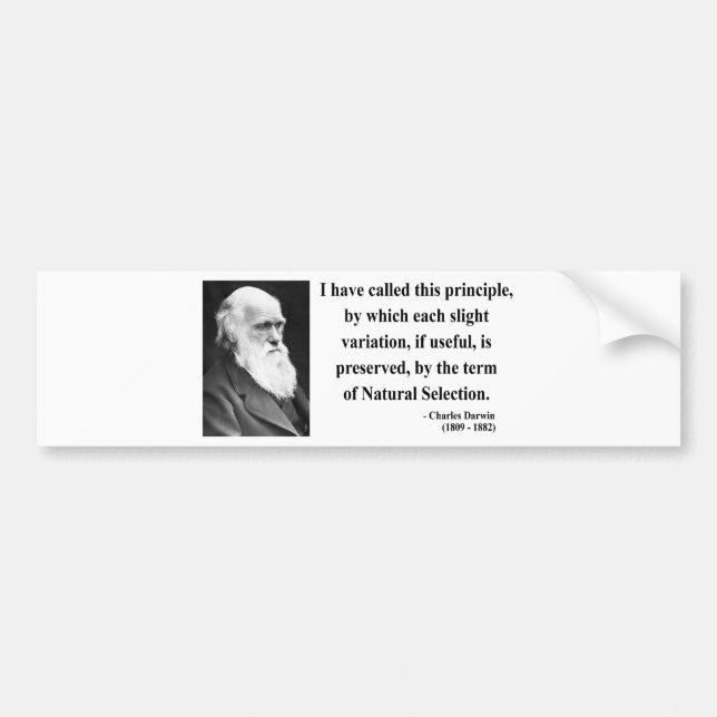 Charles Darwin Quote 6b Bumper Sticker (Front)