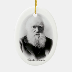 Charles Darwin Vignette Ceramic Tree Decoration