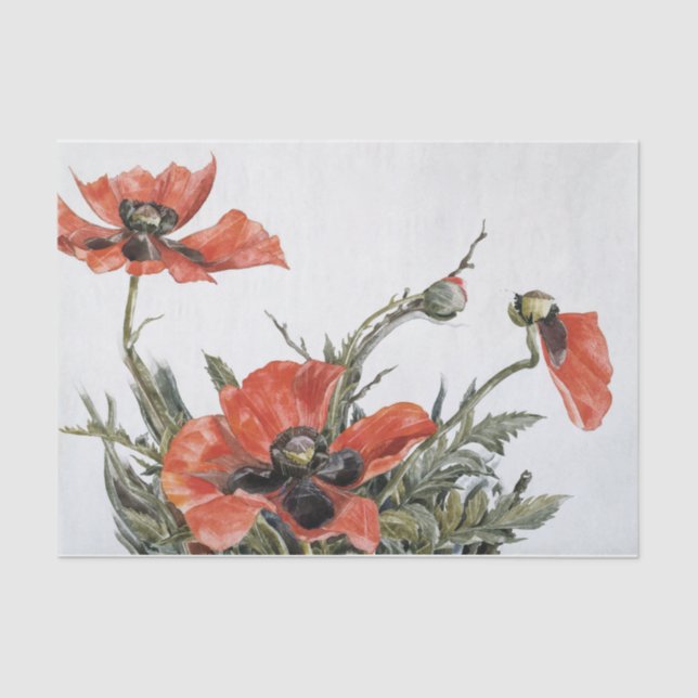 Charles Demuth | Red Poppies (1929) Tissue Paper (Front)